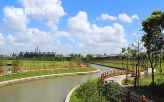 奉賢完成中小河道周邊470家企業污染源整治