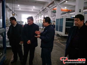 國家食用菌裝備產業技術創新戰略聯盟理事長劉兵一行到弗德里希新能源科技 杭州 參觀考察