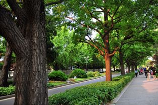 環境工程資質代辦要求