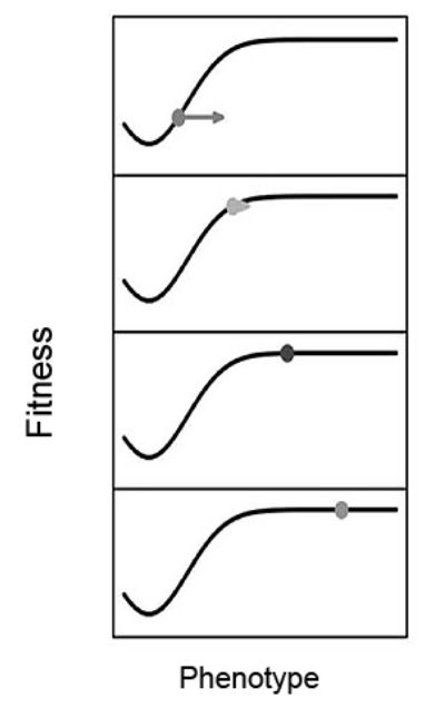 演化工程師 生命與環(huán)境如何相互塑造