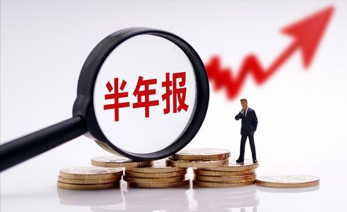 中國(guó)股市 中報(bào)業(yè)績(jī)?cè)鲩L(zhǎng)的碳交易概念股名單