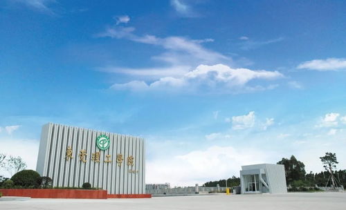 廣東高考放榜時(shí)間提前 多所高校公布招生計(jì)劃