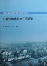 中國小城鎮給水排水工程規劃 環境工程的實踐與挑戰